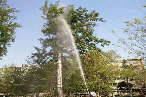 園林綠化 園林綠化