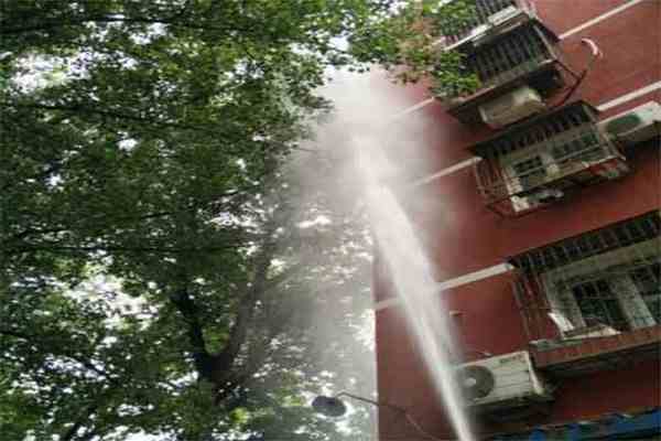 綠化打藥 綠化打藥