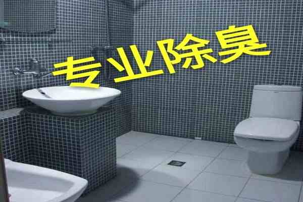 衛生間返除臭味治理