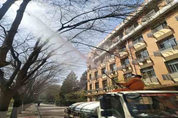 樹木打藥當(dāng)晚下雨,藥效還在嗎?