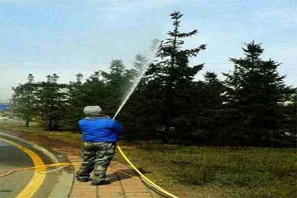 綠化打藥,時機很重要!