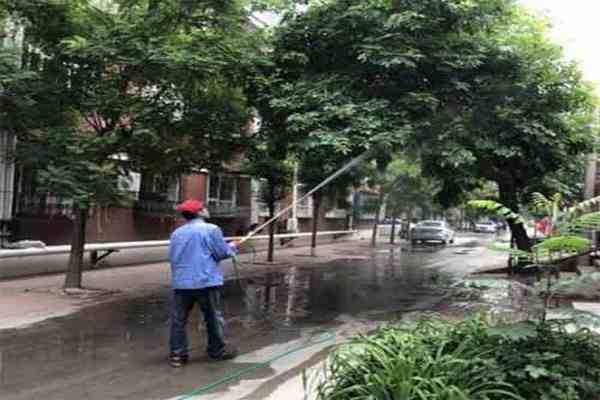 綠化打藥,時機很重要! 綠化打藥,時機很重要!