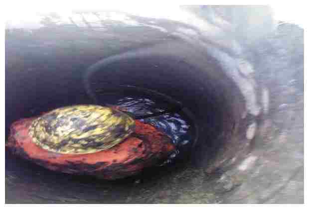 長林莊村廢油渠管道清洗的原因 長林莊村廢油渠管道清洗的原因