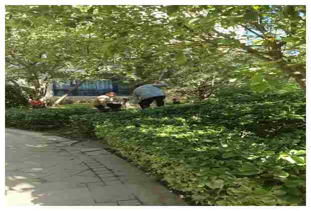 鑄鐵下水道堵塞怎么辦