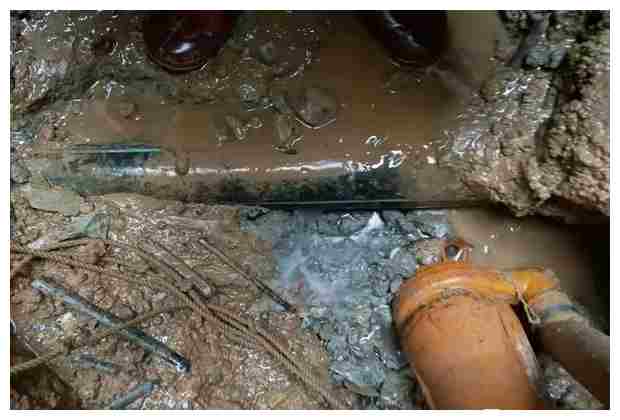 第五季龍水鳳港生態露循環渠管道清淤前景如何