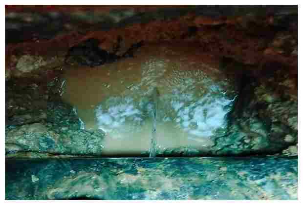 窯上村花園水溝管道清淤技巧有哪些