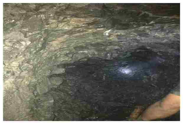 采育龍門莊村油污井污水清理的操作規程