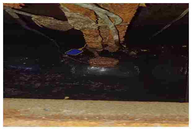 迎風街道市政管道疏通運輸不再愁 迎風街道市政管道疏通運輸不再愁