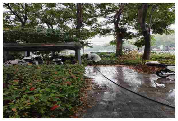 迎賓花園污水溝清理鍛煉時應該注意什么