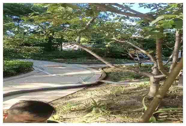 過濾池清理行業10年經驗 過濾池清理行業10年經驗