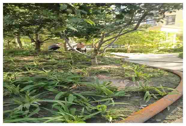 輔食堵塞下水道怎么辦